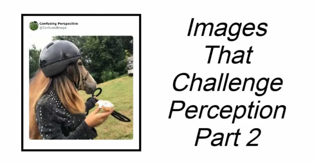 Images That Challenge Perception Part 2