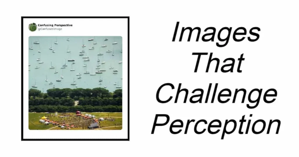 Images That Challenge Perception