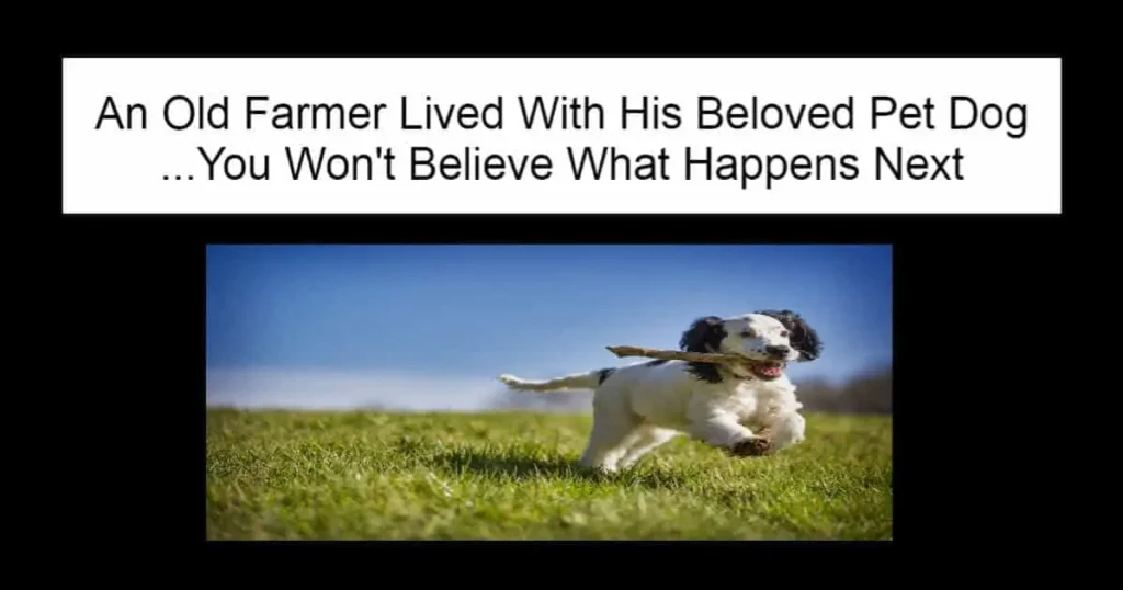 An Old Farmer Lived With His Beloved Pet Dog