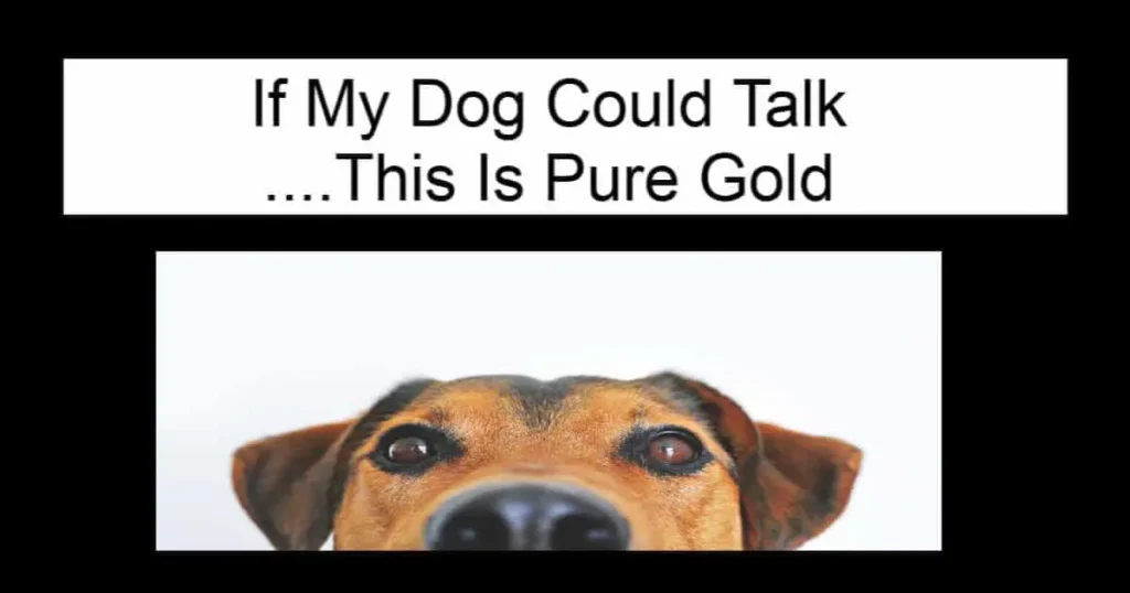 If My Dog Could Talk