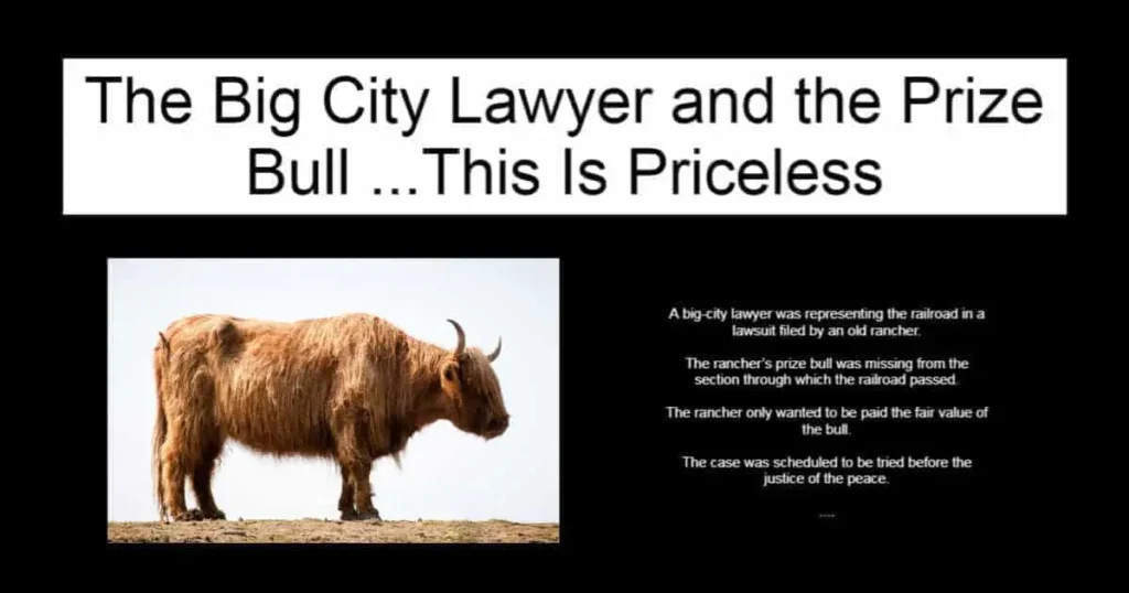 The Big City Lawyer and the Prize Bull