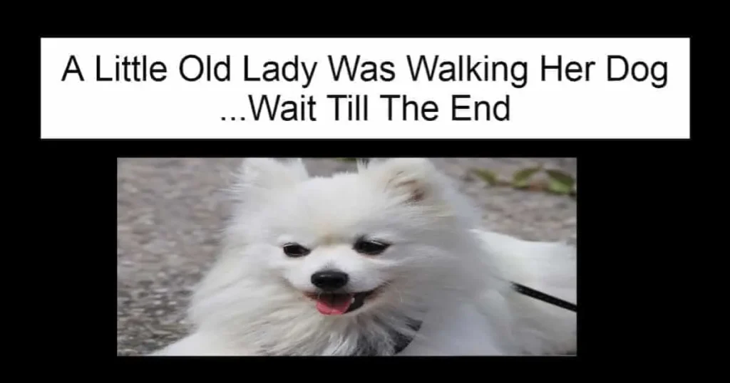 A Little Old Lady Was Walking Her Dog