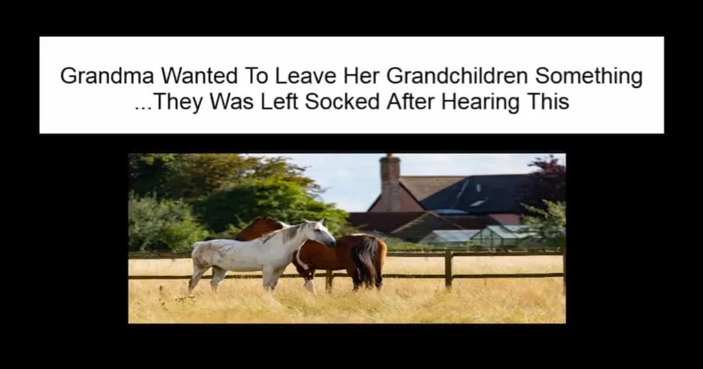 Grandma Wanted To Leave Her Grandchildren Something