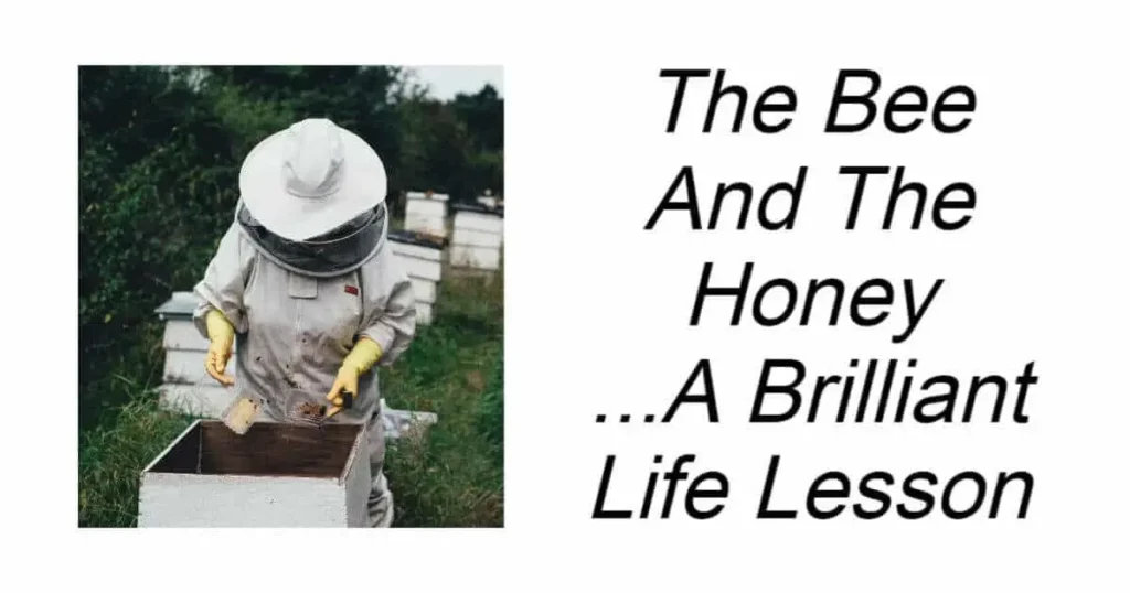 The Bee And The Honey