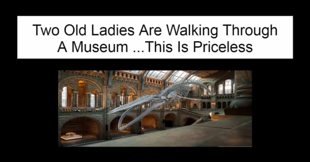 Two Old Ladies Are Walking Through A Museum