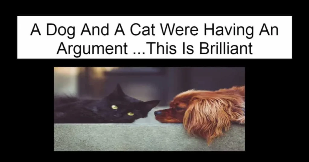 A Dog And A Cat Were Having An Argument