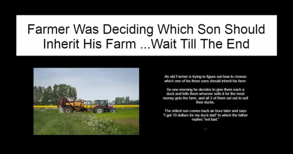Farmer Was Deciding Which Son Should Inherit His Farm
