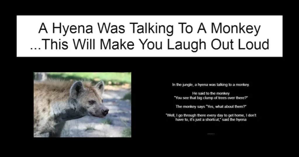 A Hyena Was Talking To A Monkey