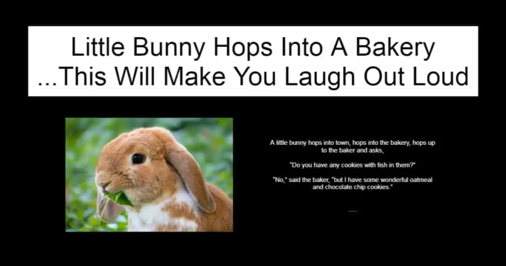 Little Bunny Hops Into A Bakery