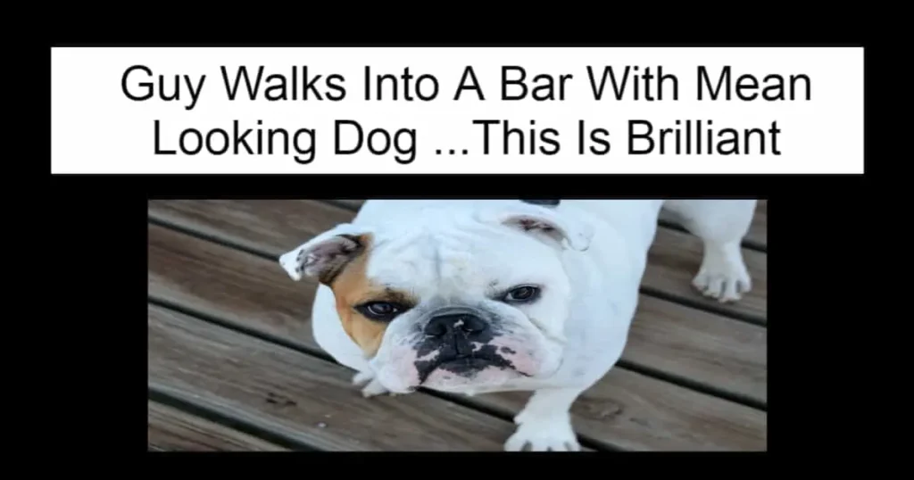 Guy Walks Into A Bar With Dog