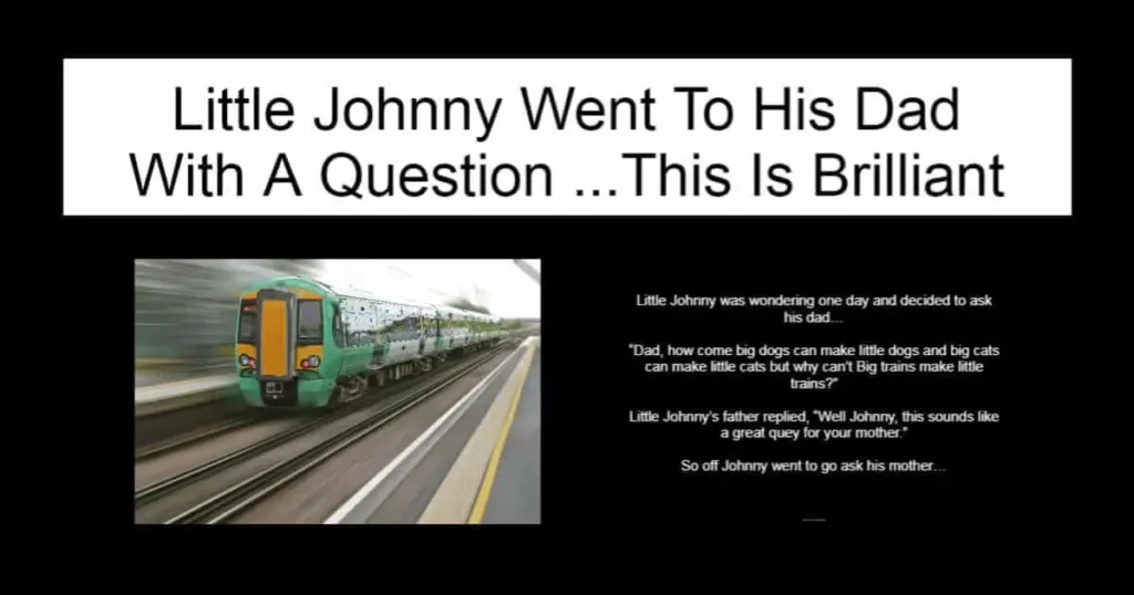 Little Johnny Went To His Dad With A Question