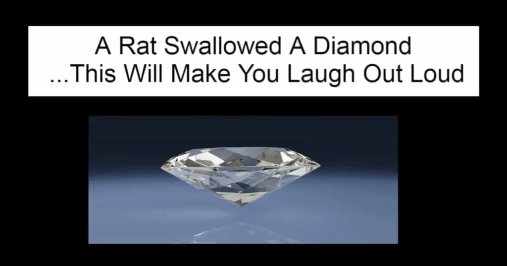 A Rat Swallowed A Diamond