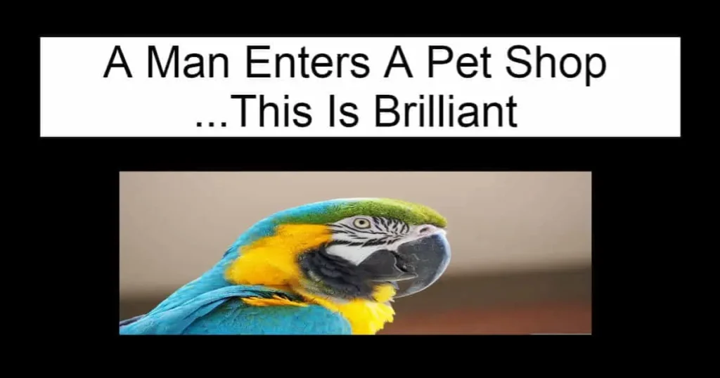 A Man Enters A Pet Shop
