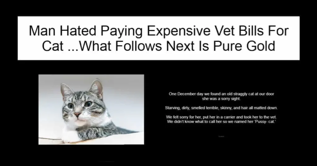 Man Hated Paying Expensive Vet Bills