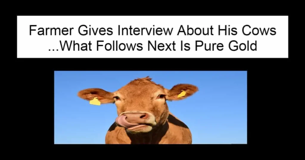 Farmer Gives Interview About His Cows