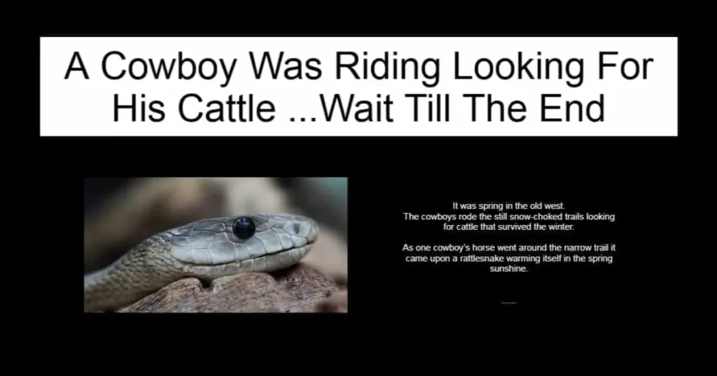 A Cowboy Was Riding Looking For His Cattle
