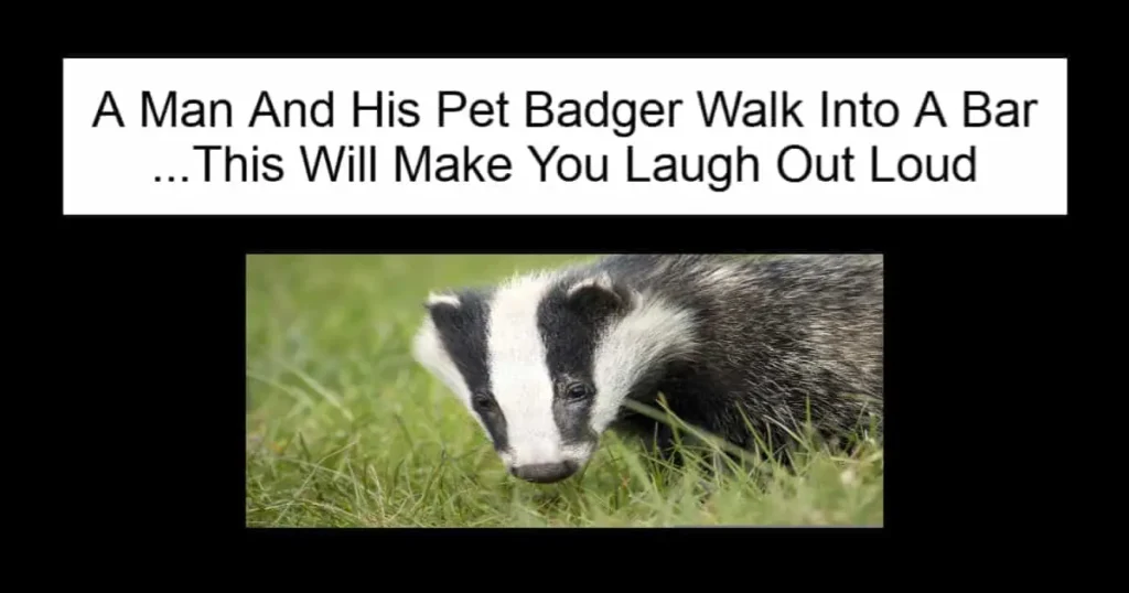 A Man And His Pet Badger Walk Into A Bar