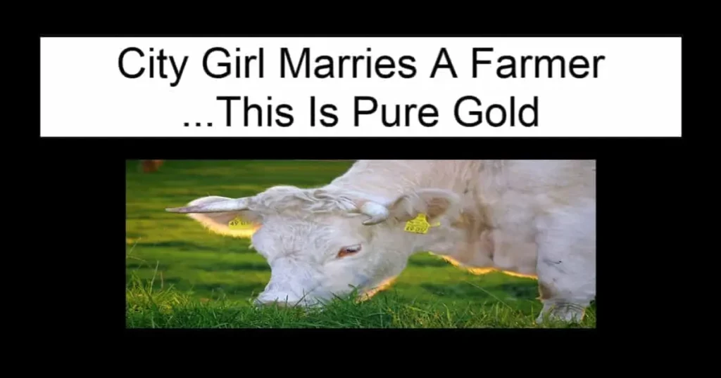City Girl Marries A Farmer