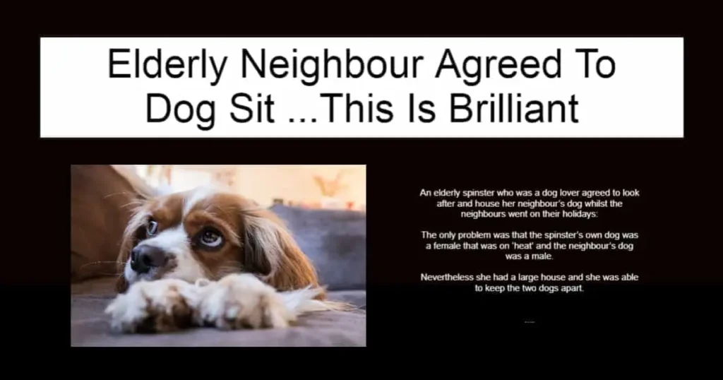 Elderly Neighbour Agreed To Dog Sit