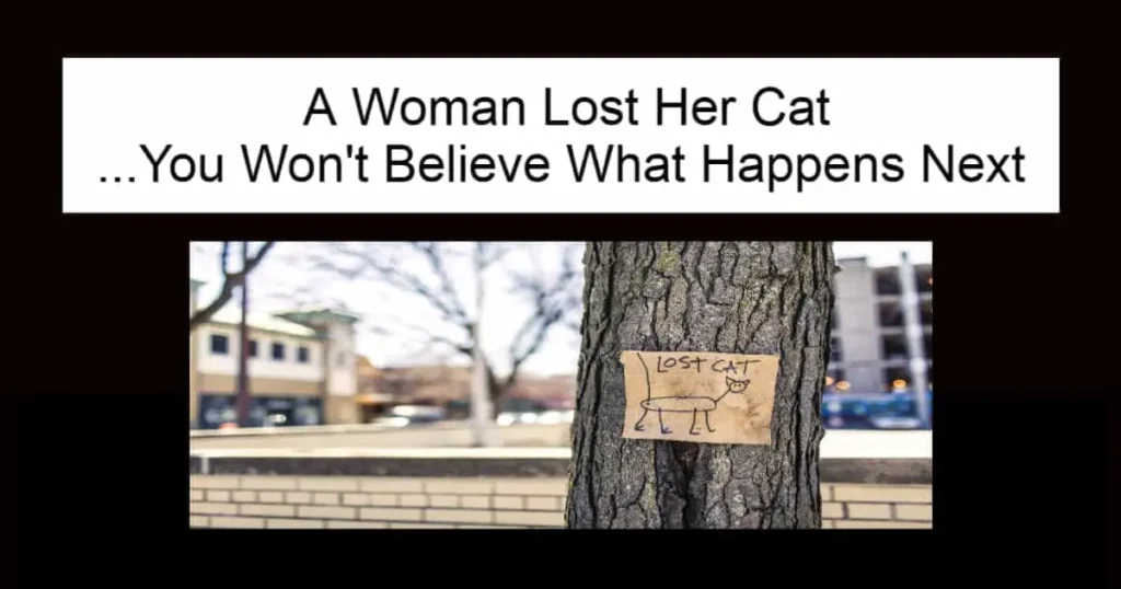 A Woman Lost Her Cat