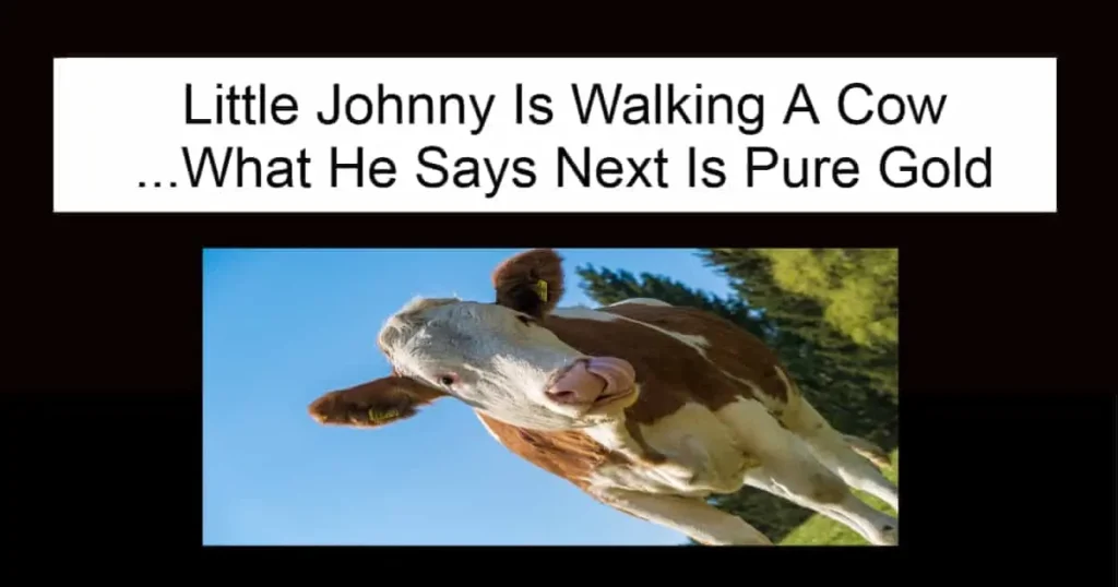 Little Johnny Is Walking A Cow