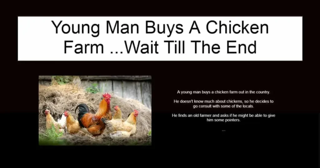 Young Man Buys A Chicken Farm