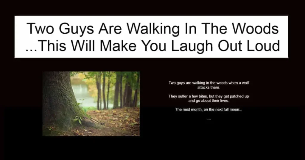 Two Guys Are Walking In The Woods