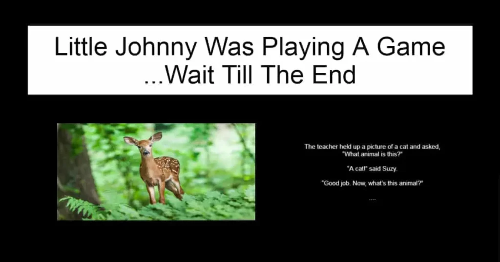 Little Johnny Was Playing A Game