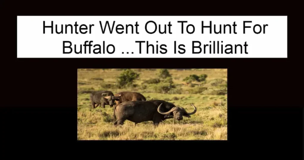 Hunter Went Out To Hunt For Buffalo