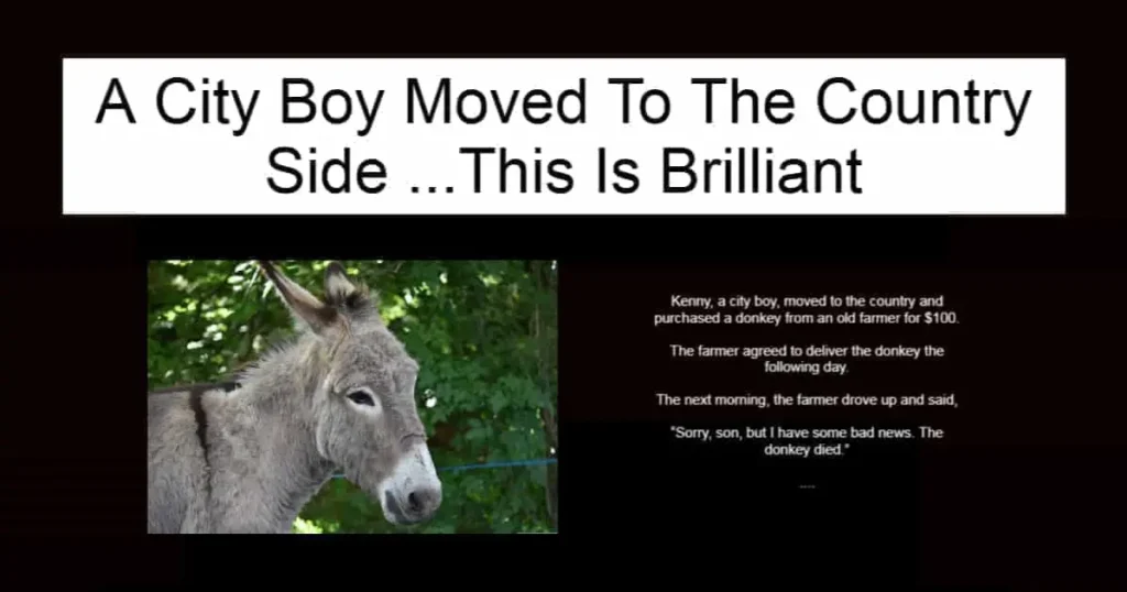 A City Boy Moved To The Country Side