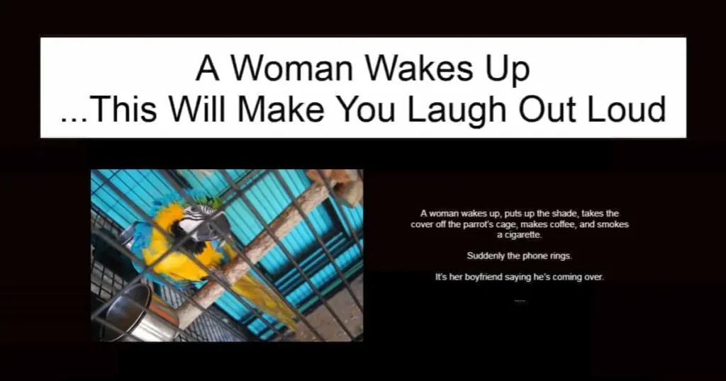 A Woman Wakes Up