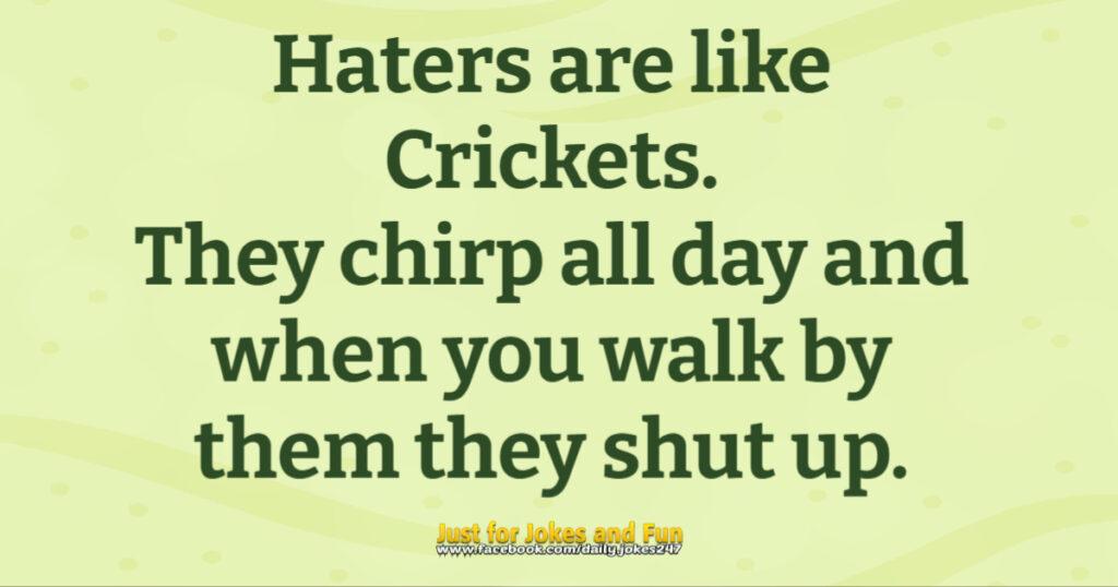Haters are like Crickets