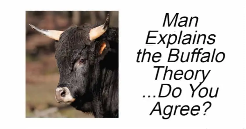 Man Explains the Buffalo Theory