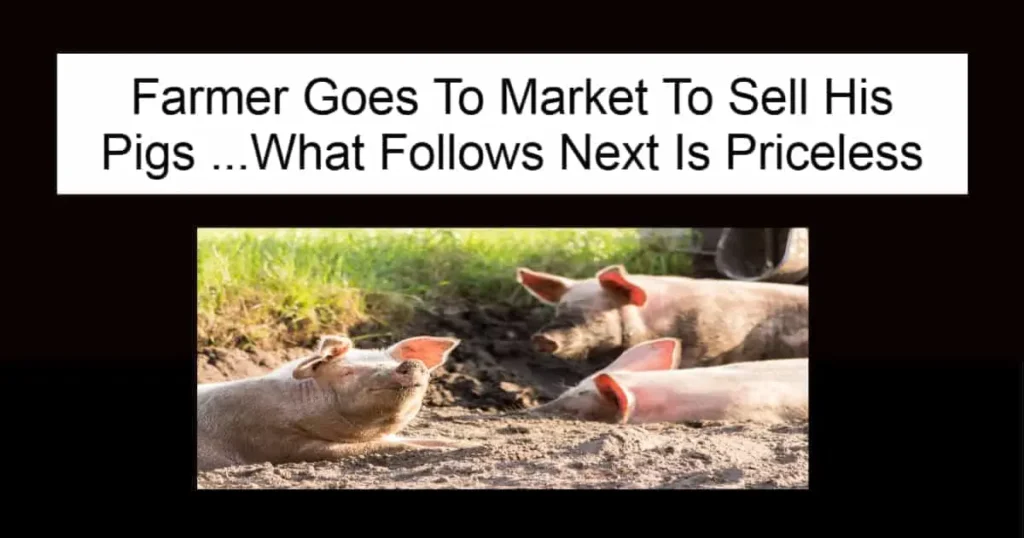 Farmer Goes To Market To Sell His Pigs