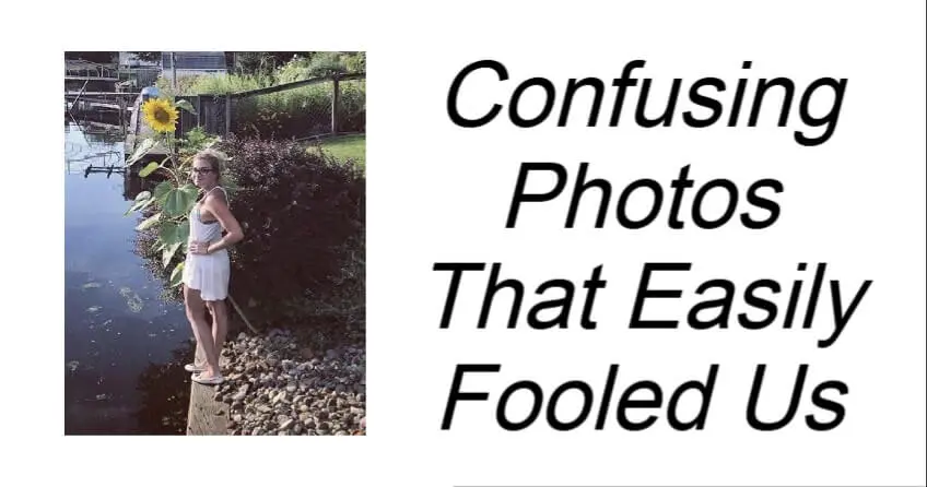 Confusing Photos That Easily Fooled Us
