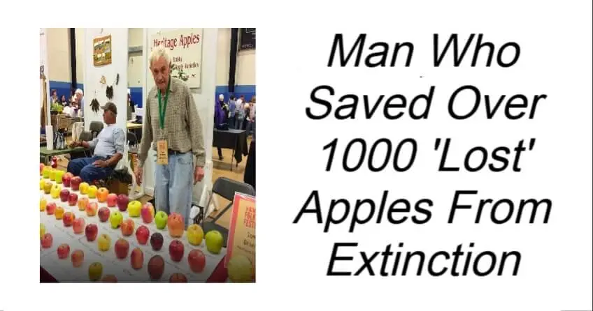 Man Who Saved Over 1000 'Lost' Apples From Extinction