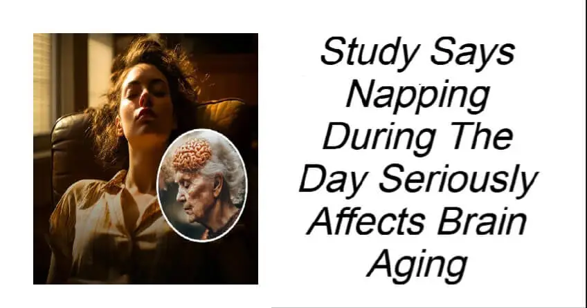 Napping During The Day Seriously Affects Brain Aging