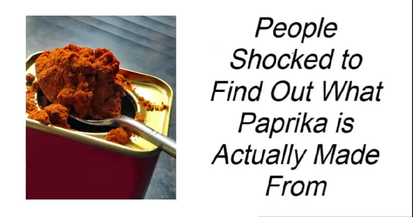 People Shocked to Find Out What Paprika is Actually Made From