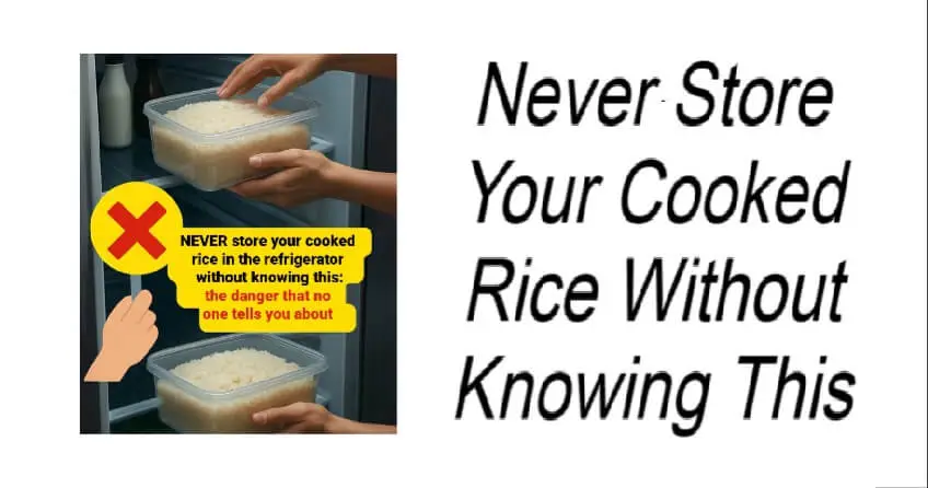 Never Store Your Cooked Rice Without Knowing This