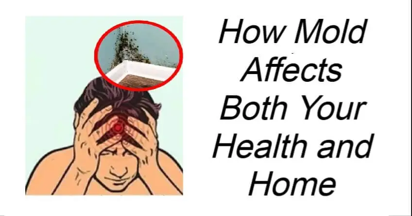 How Mold Affects Both Your Health and Home