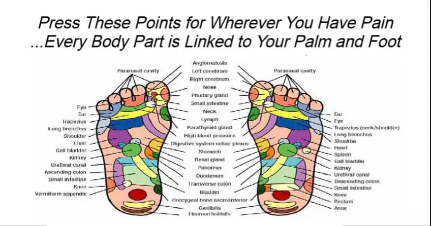 Press These Points for Wherever You Have Pain