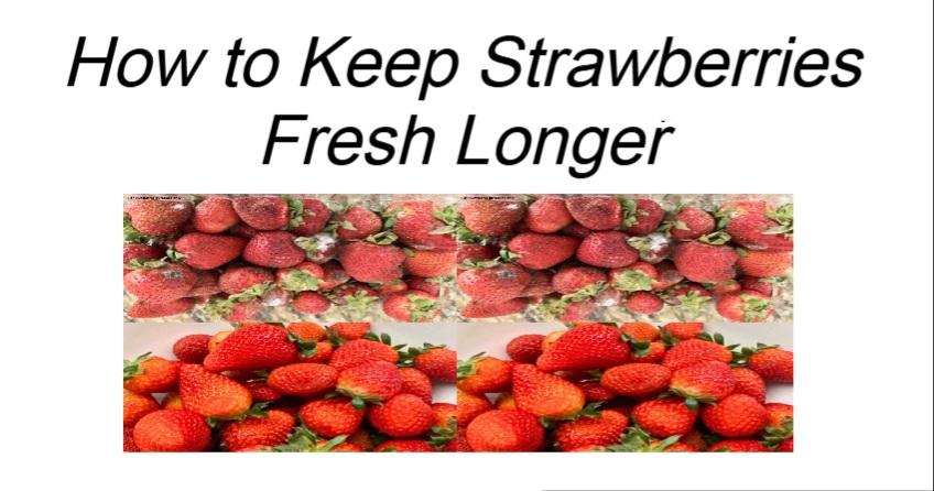 How to Keep Strawberries Fresh Longer