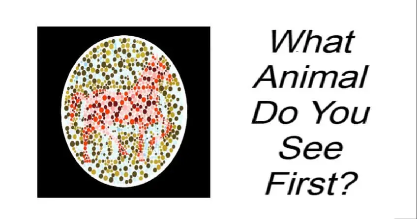 What Animal Do You See First