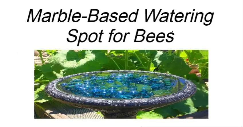Marble-Based Watering Spot for Bees