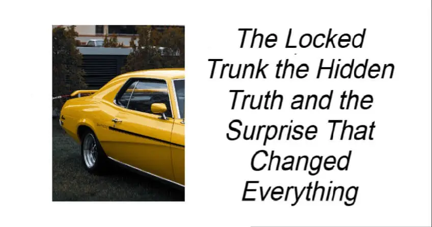 The Locked Trunk the Hidden Truth
