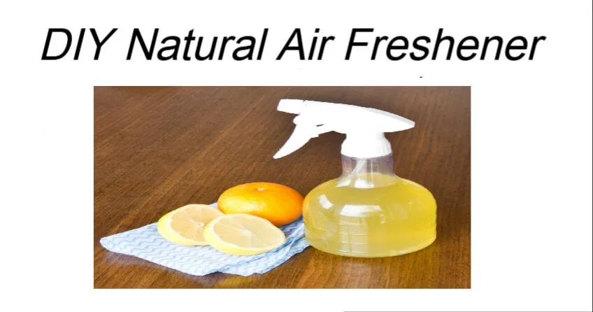 DIY Natural Air Freshener