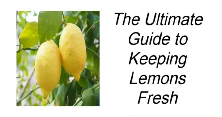 The Ultimate Guide to Keeping Lemons Fresh
