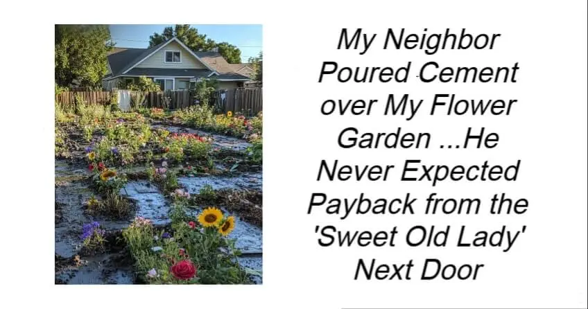 My Neighbor Poured Cement over My Flower Garden