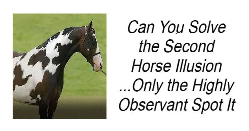 Can You Solve the Second Horse Illusion