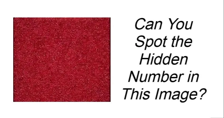 Can You Spot the Hidden Number in This Image